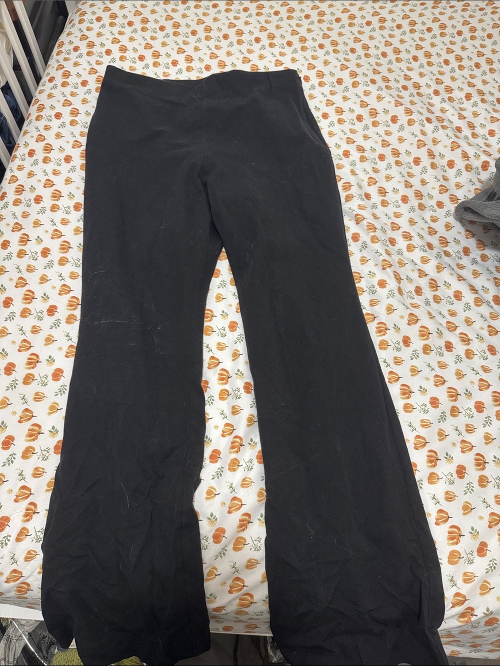 Ann Taylor Curvy Fit Side Zip Ankle Pant